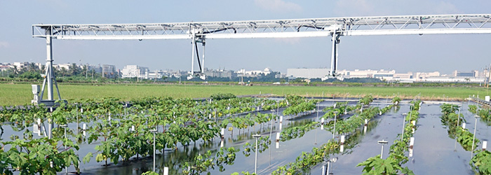 FieldScan - Field Phenotyping Flooding and heat stress experiment wvc