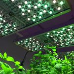 Phytofy LED panels for research