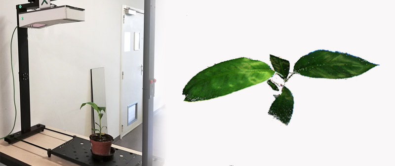 Bioversity International digital phenotyping of banana plants for total biomass measurements. Each plant was scanned with PlantEye, in this case in a MicroScan setup,  to generate a 3D plant model providing data on 20 plant parameters.
