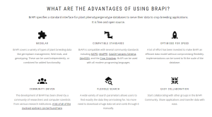 BrAPI, the advantages