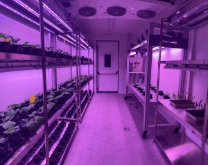 Digital plant phenotyping in a growth chamber