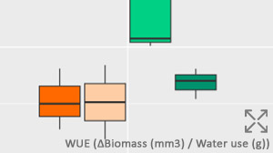 WUE (WUE (∆Biomass (mm3) / Water use (g)) boxplot per treatment per experiment phase. Treatments are soil moisture levels relative to 100% soil capacity steadily maintained by DroughtSpotters deviation irrigation mode.