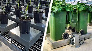 24/7 reliable irrigation for your abiotic stress experiments on drought stress, heat stress and salinity stress.