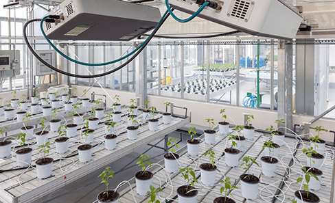 FieldScan | Field Phenotyping | High Throughput plant phenotyping