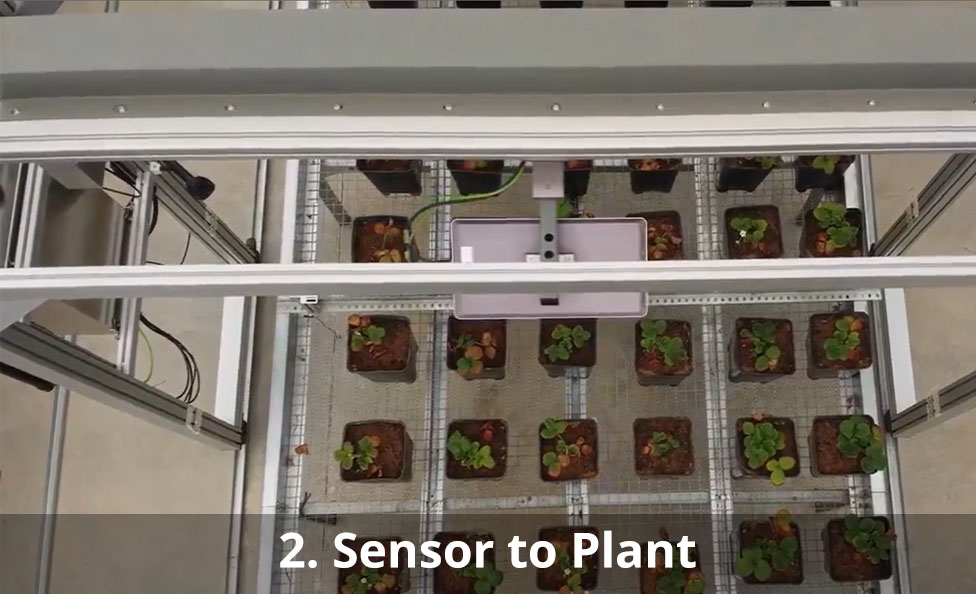 Sensor-to-Plant Approach